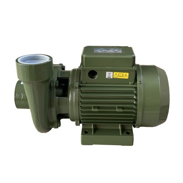Насос вiдцентровий BP-3 0,75 кВт SAER (25,0 м3/год, 21,5м) однофазний 19017 фото